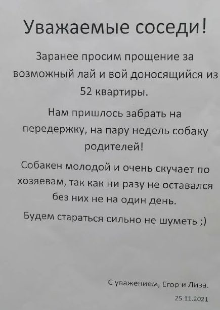 Соседи жалуются на собаку. Какие могут быть последствия?